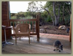 Kangaroo Island Wilderness Resort - Accommodation Coffs Harbour 1