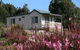 Daysy Hill Country Cottages - thumb 5