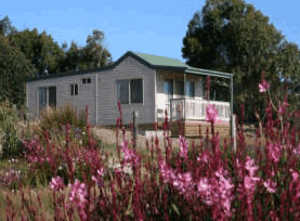 Daysy Hill Country Cottages - Accommodation Coffs Harbour 5