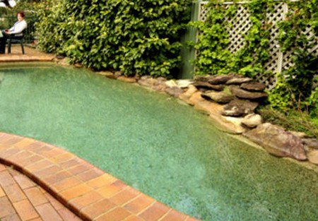 Newcomen Bed And Breakfast - Accommodation Coffs Harbour 2