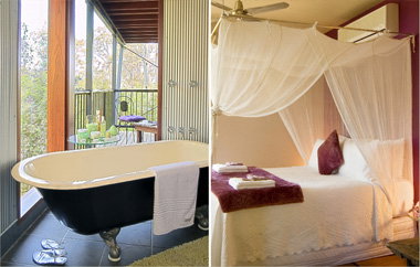 EcOasis - Accommodation Coffs Harbour 2