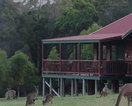 Walpole Wilderness Resort - Accommodation Coffs Harbour