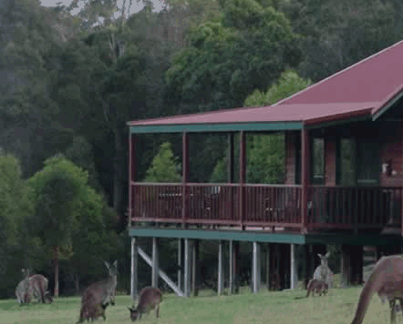 Walpole Wilderness Resort - Accommodation Coffs Harbour 0