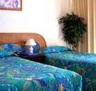 International Beach Resort - Accommodation Coffs Harbour