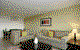 The Dolphin Apartments - thumb 3