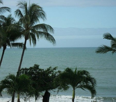 Turtle Cove Beach Resort - Accommodation Coffs Harbour 2