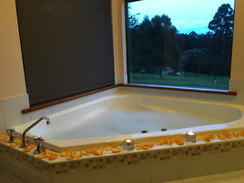 Walpole Wilderness Resort - Accommodation Coffs Harbour 1