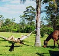 Neds Bed Horse O Tel - Accommodation Coffs Harbour