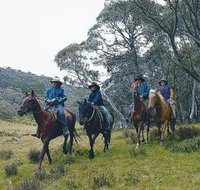Pender Lea - Accommodation Coffs Harbour