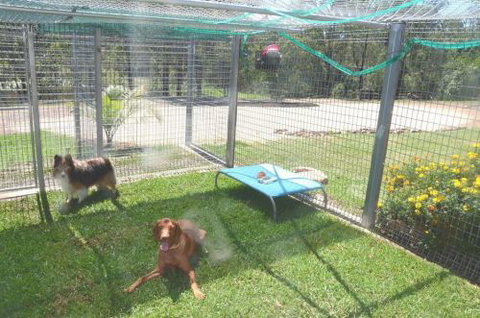 Wingham Pet Motel - Accommodation Coffs Harbour 1