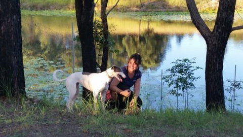 Wingham Pet Motel - Accommodation Coffs Harbour 2