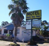 Blackboy Tree Motel - Accommodation Coffs Harbour