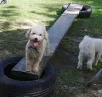 Beenleigh Pet Motel - Accommodation Coffs Harbour
