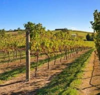 DeVine Escape - Accommodation Coffs Harbour