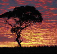 Kimba Caravan Park amp Motel - Accommodation Coffs Harbour