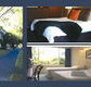 The Albany - Accommodation Coffs Harbour