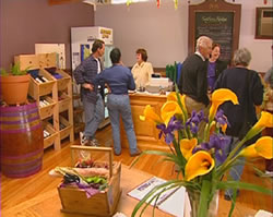 Settlers Ridge Organic Wines - Accommodation Coffs Harbour 0