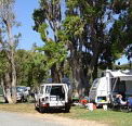 Elliston Caravan Park - Accommodation Coffs Harbour