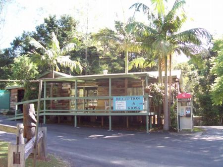 Mount Warning Rainforest Park - Accommodation Coffs Harbour 1