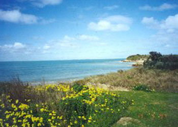 St Andrews Boulevard Apartments - Accommodation Coffs Harbour 1