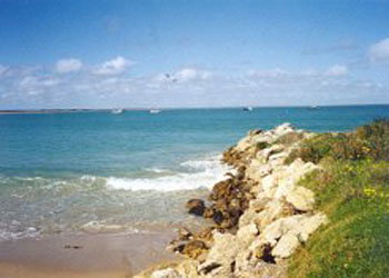 St Andrews Boulevard Apartments - Accommodation Coffs Harbour 2