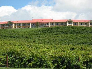 Turners Vineyard - Accommodation Coffs Harbour 4