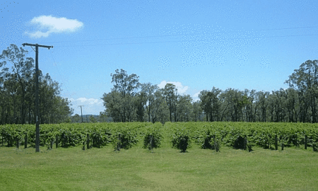 Copper Country Motor Inn - Accommodation Coffs Harbour 3