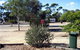 Kimba Motel Caravan Park - thumb 1