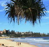 Mariners Caloundra - Accommodation Coffs Harbour