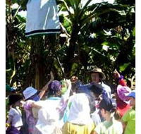 Beachfarm Farmstay - Accommodation Coffs Harbour