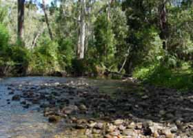 River Rest Country Cottage - Accommodation Coffs Harbour 0