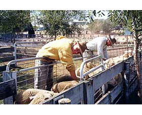 Old Nubba Schoolhouse - Accommodation Coffs Harbour 0