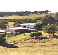 Sun Valley Eco Farm - Accommodation Coffs Harbour