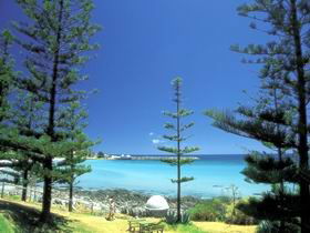 The Beach House - Accommodation Coffs Harbour 0