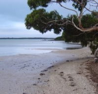 Stanley Lakeside Spa Cabins - Accommodation Coffs Harbour