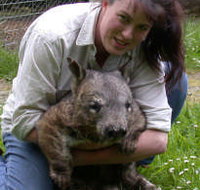 Fauna Australia Wildlife Retreat - Accommodation Coffs Harbour
