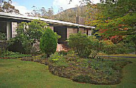 Fern Tree TAS Accommodation Coffs Harbour