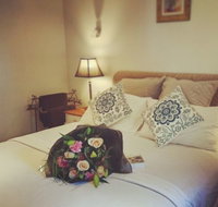 Springs Creek - Accommodation Coffs Harbour