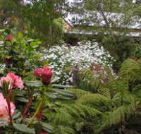Lorne Lemonade Creek Cottages - Accommodation Coffs Harbour