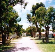 Bathers Paradise Caravan Park - Accommodation Coffs Harbour