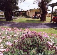 Brigadoon Holiday Units - Accommodation Coffs Harbour