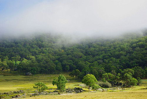 Capoompeta NSW Accommodation Coffs Harbour
