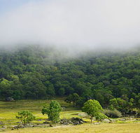 Tor Cottage at Anketell Forest - Accommodation Coffs Harbour