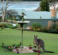 Gipsy Point Lakeside - Accommodation Coffs Harbour