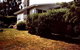 Arundel Cottage - thumb 0