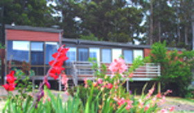 Lower Barrington TAS Accommodation Coffs Harbour