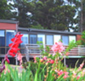 Mount Roland View - Accommodation Coffs Harbour