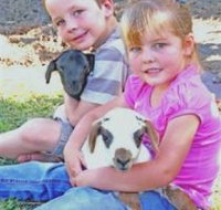 Mansfield Park - Accommodation Coffs Harbour