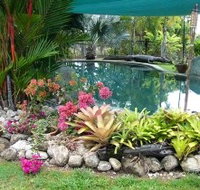 Daintree Wild Bed And Breakfast - Accommodation Coffs Harbour