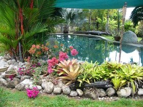 Daintree Wild Bed And Breakfast - Accommodation Coffs Harbour 0